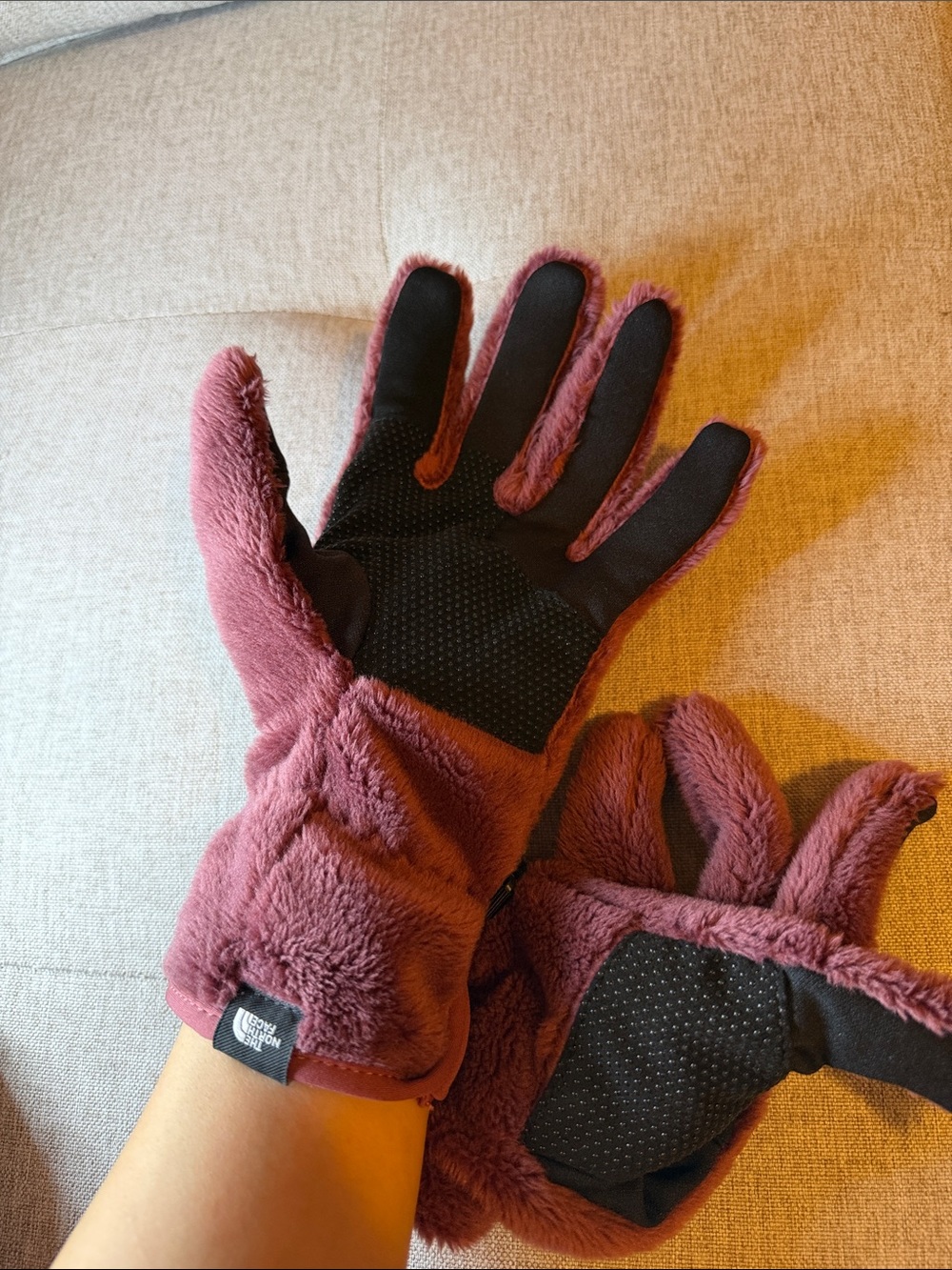 The northface gloves